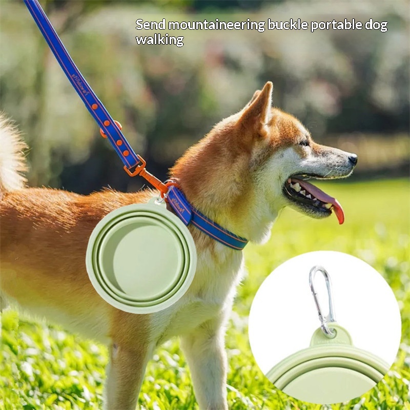 ชามอาหารและน้ำสำหรับสุนัขแบบซิ - Portion Control Container บทวิจารณ์และราคา